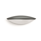 Steinel - L 825 LED iHF antrasit