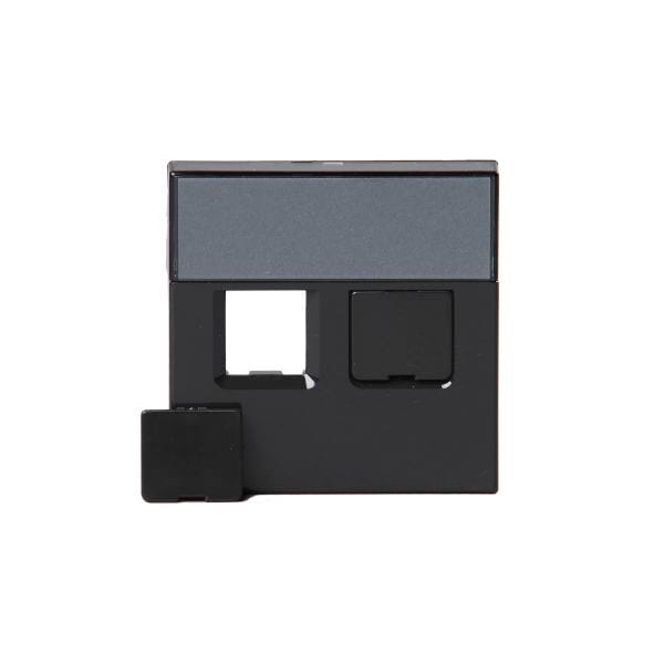 ABB Electrification - IMPRESSIVO® sentral plate 2 x RJ45 ant 1819-81