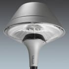 Thorn - 51 FIX/CORNER BRA