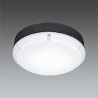 Thorn - LARA LED 30 1200 84 MWS BLK E3