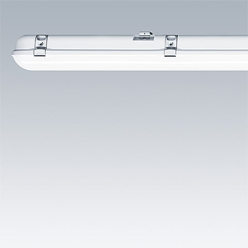 Thorn - JULIE 4000 84 COR MWS CON