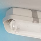 Thorn - COLDF2 2X36W T26/38 HF L000