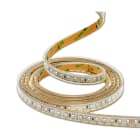 Vanpee - LEDSTRIP 3000K 48W 24V DC 5M 9,6W PR M. IP65
