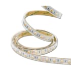 Vanpee - LEDSTRIP RGB IP65 24V DC 14,4W/M 5 METER LANG