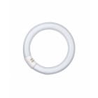 Osram - T9 C L32W/827 4-PIN G10Q SIRKELRØR