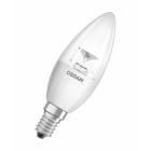 Osram - LED STAR CLB 40 CL