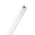 Osram - T8 Lumilux L 36W/840-1 G13