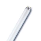 Osram - Osram L 18W-BLÅ