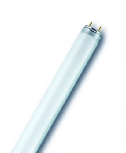 Radium - NL 36W/840-1