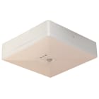 Honeywell Life Safety - OmniLED Påvegg NM ST LED 230V 1t IP20 Lederlys Nødlys
