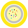 Miniatyrbilde Produktbilde 1