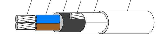 Draka - IFLI 250V 2x2,5 FR/ 2,5