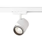 Hide-a-lite - Focus Maxi Dali 15° Hvit 4000K