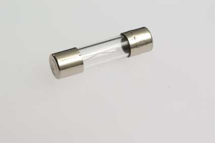 ESKA Erich Schweizer - SIKRING M 5X25MM  1,0 AMP 250V