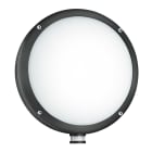 Steinel - L330 LED Antrasitt