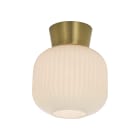 Aneta Lighting - VANJA PLAFOND HVIT/MATT MESSING