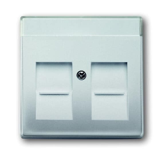ABB Electrification - SENTRAL PLATE 2XRJ45 MED STØVLUKE BESKYTTELSE PURE