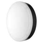 Ledvance - Surface Bulkhead 300 15W/4000K BK IP65