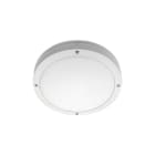SG Armaturen - EVJE HVIT 2000 LED 3000K