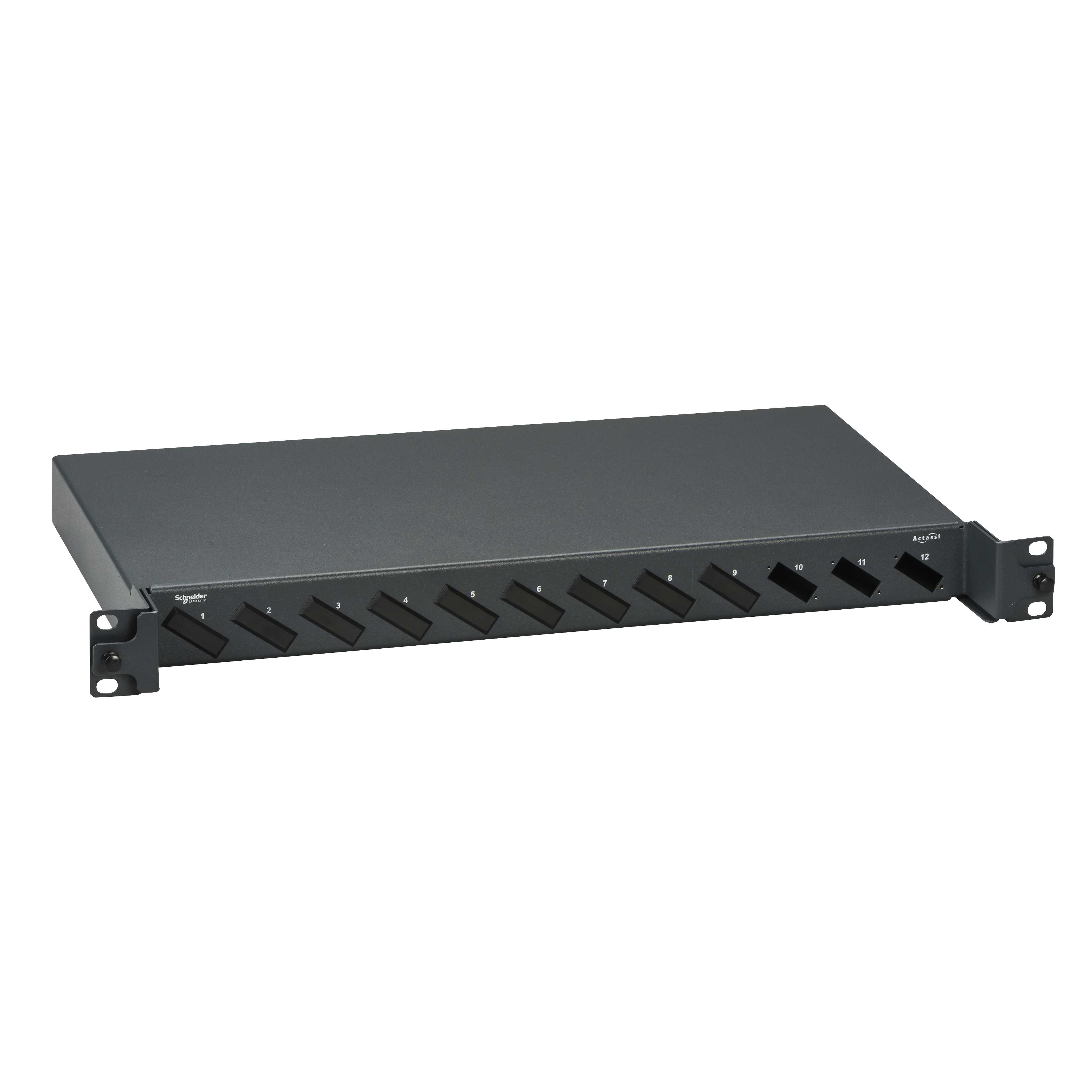 Schneider Electric - Fiberpanel basic 1U 24-fiber, passer til  12 SC duplex adaptere, ubestykket