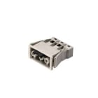 Wieland Electric GmbH - GST18i3 Chassis, Kontakt, Hun, Fjærklemme, 0.5-1.5mm², Grå