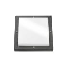 SG Armaturen - Bassi grafitt 11W LED med Skumringsrelé