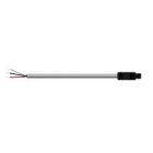 Wieland Electric GmbH - BST 3pol, 0.5mm², 6m, Hun-Fri, Sort