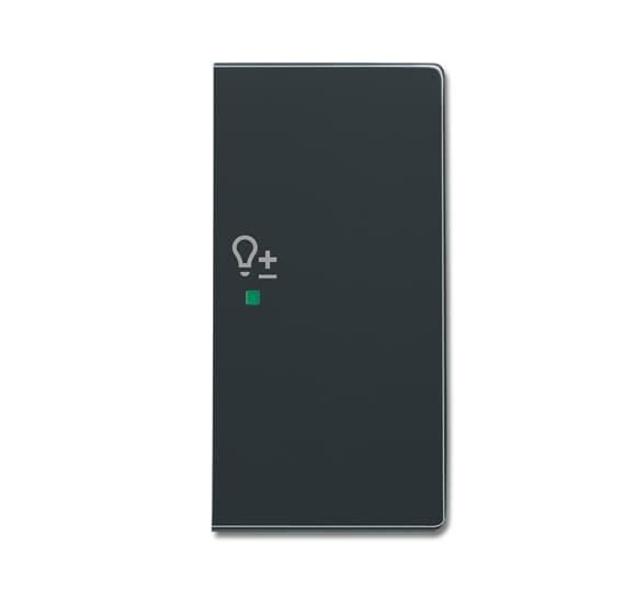 ABB Electrification - SRD-2-R-81 Front til bryter med to vipper for ABB-free@home®og KNX