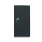 ABB Electrification - SRD-2-R-81 Front til bryter med to vipper for ABB-free@home®og KNX