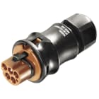 Wieland Electric GmbH - RST 5pol, kont. Han, Skruklemme, 0, 75-4mm²,2 Ø6-10, Brun