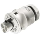 Wieland Electric GmbH - RST 3pol, Han-Chassis, M20, Skruklemme, Grå