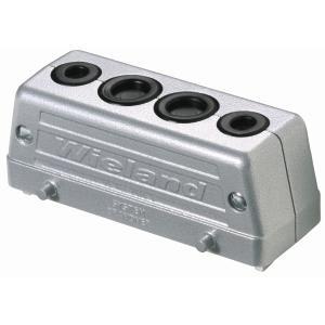 Wieland Electric GmbH - Overdel, delbar IT-4X