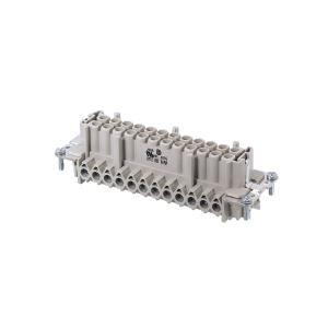 Wieland Electric GmbH - Hun-innsats, 24pol, 380V