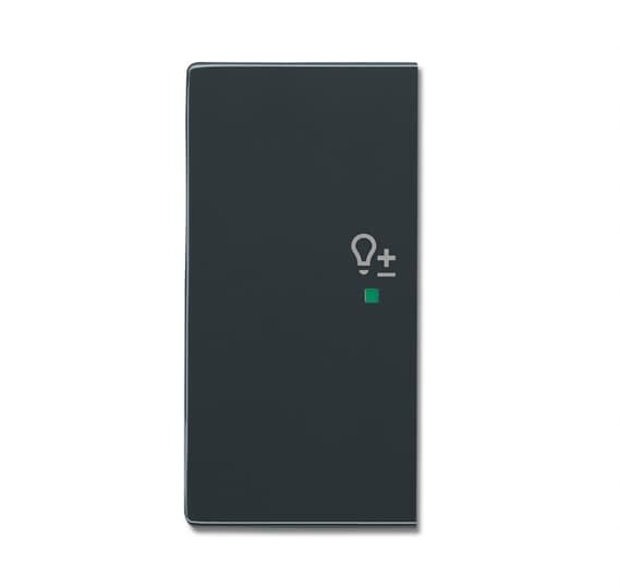 ABB Electrification - SRD-2-L-81 Front til bryter med to vipper for ABB-free@home®og KNX
