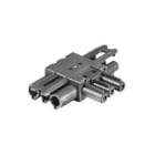 Wieland Electric GmbH - GST18i3 Fordeler, 1:2, flat, Sort