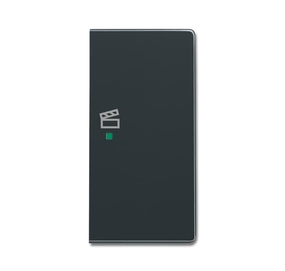 ABB Electrification - SRS-2-R-81 Front til bryter med to vipper for ABB-free@home®og KNX