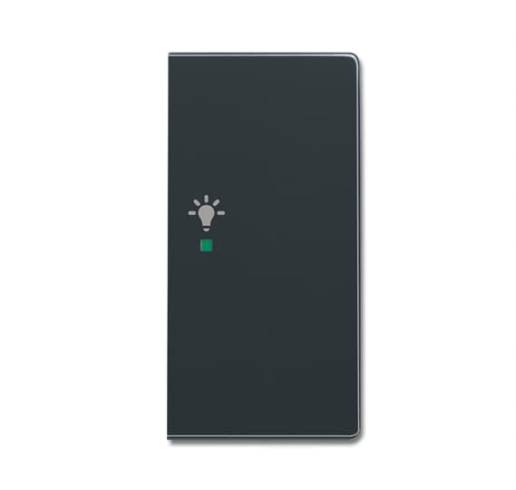 ABB Electrification - SRL-2-R-81 Front til bryter med to vipper for ABB-free@home®og KNX