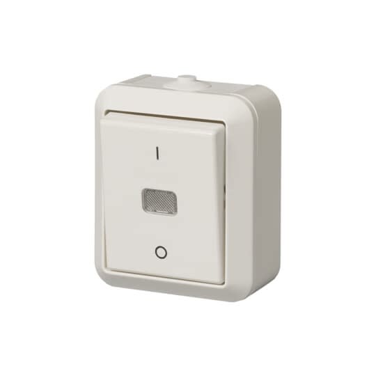 ABB Electrification - JUSSI BRYTER 2 PÅVEGG 2-POL IP44