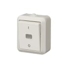 ABB Electrification - JUSSI BRYTER 2 PÅVEGG 2-POL IP44