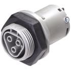 Wieland Electric GmbH - RST25i3 Chas Hun, Skruklemme, M25, Grå
