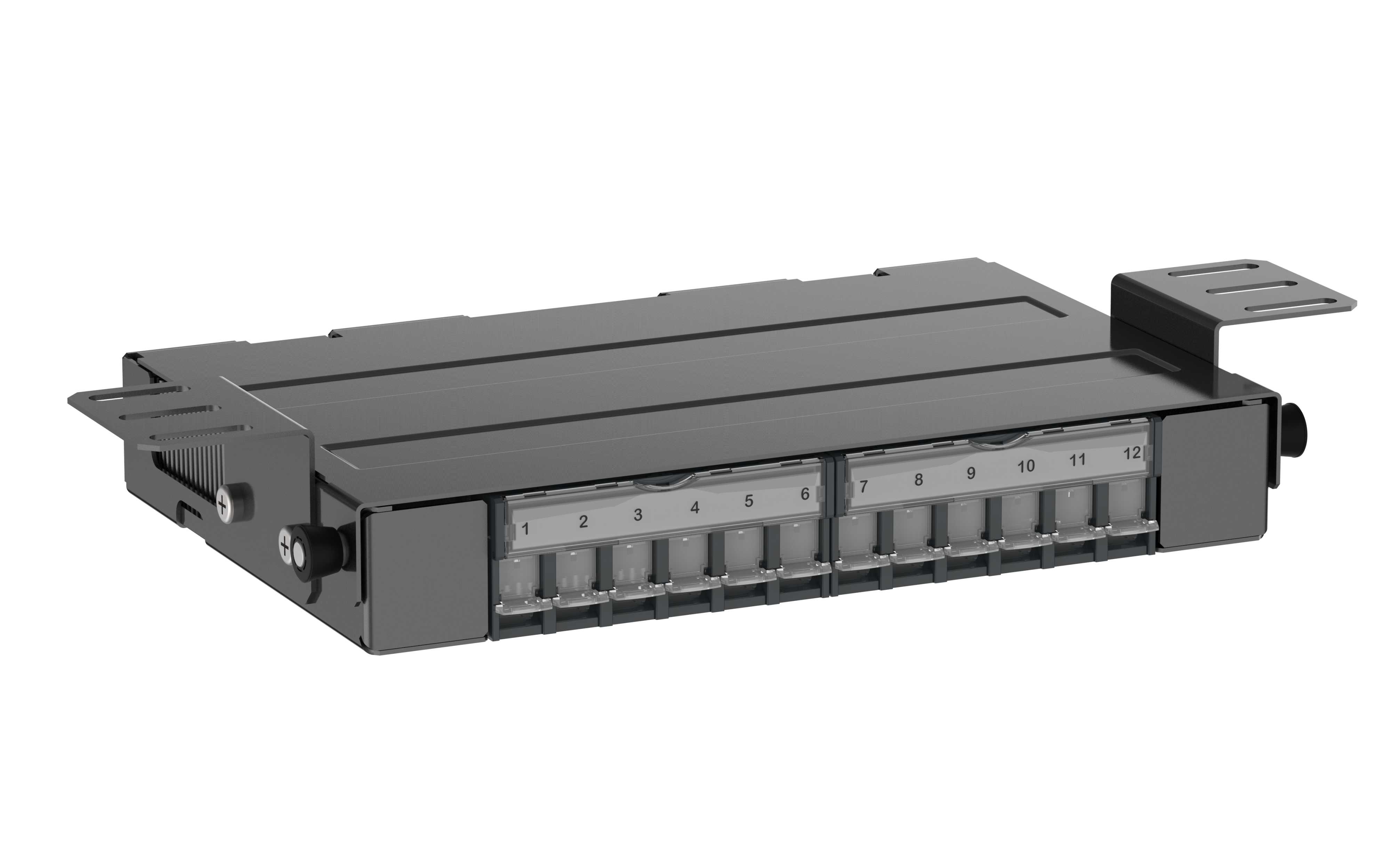 Schneider Electric - Patcheboks - for 12 x S-One - skjermet eller uskjermet - inkl. støvbeskyttelse