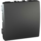 Schneider Electric - Deksel - 2 moduler - Antrasitt