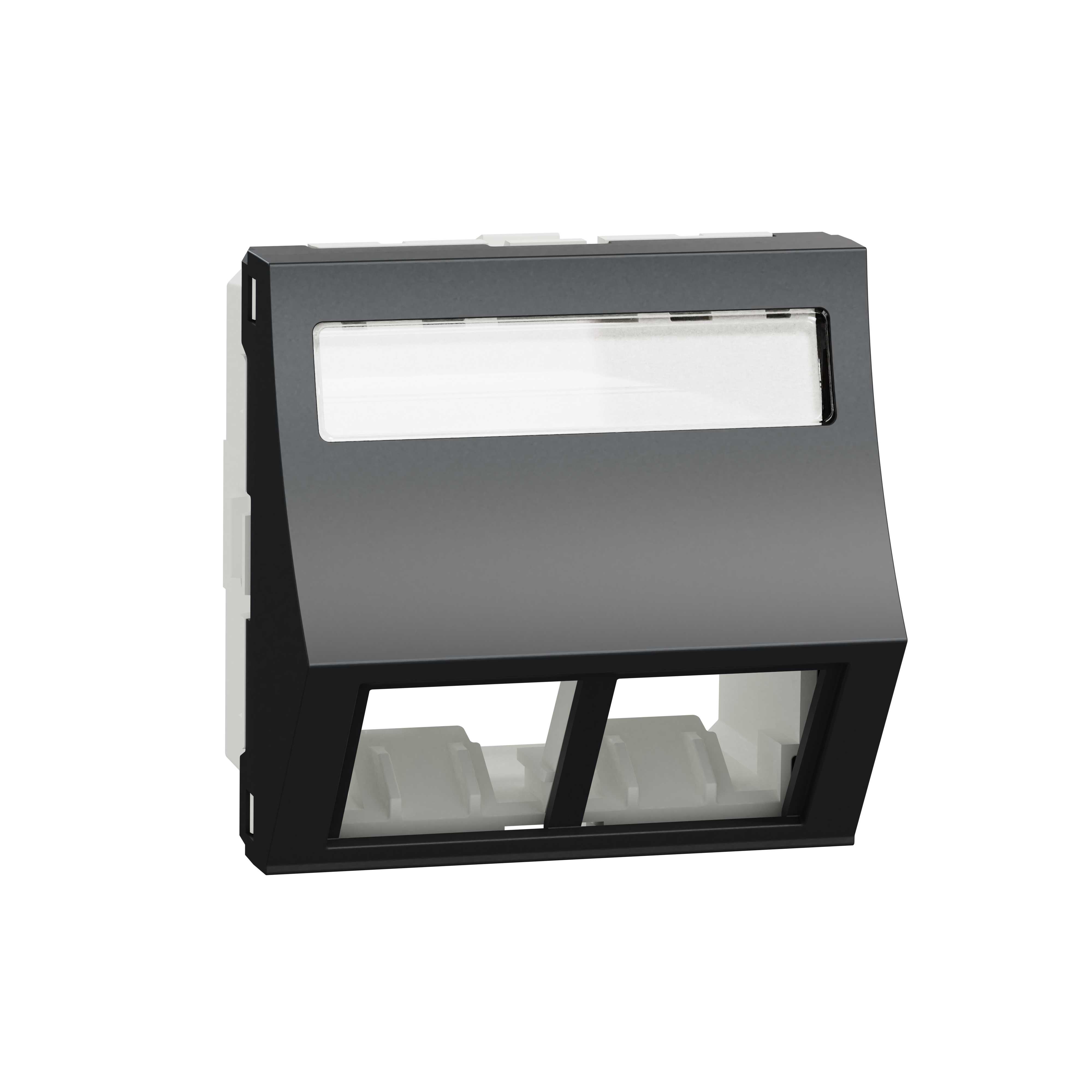 Schneider Electric - RJ45 - Dobbel Senter Plate DP