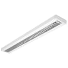 Glamox - C10-S1 150x1200 LED 3300HF 83