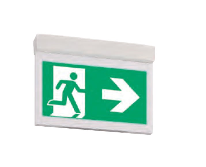 Eaton Electric - GuideLed 10021 CG-S Ceiling m GuideLed CG-S 20m adresserba
