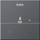 GIRA - Dockingstasjon for Apple Lightning System 55 antrasitt