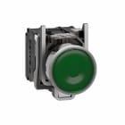 Schneider Electric - Lystrykknapp komplett med LED og grønn plan trykkflate med fjærretur 24VAC/DC 1xNO+1xNC